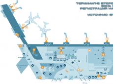 Check-in mandiri di Bandara Domodedovo: instruksi laporan